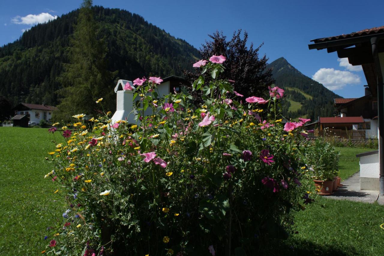 Appartements Gaertner Bichlbach Dış mekan fotoğraf
