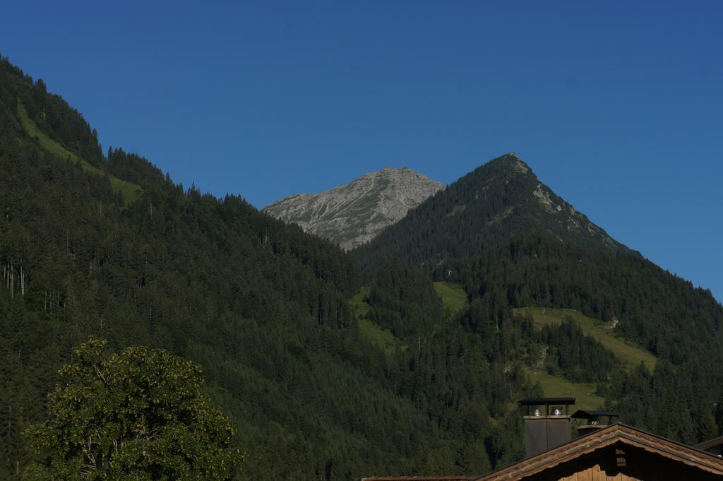 Appartements Gaertner Bichlbach Dış mekan fotoğraf